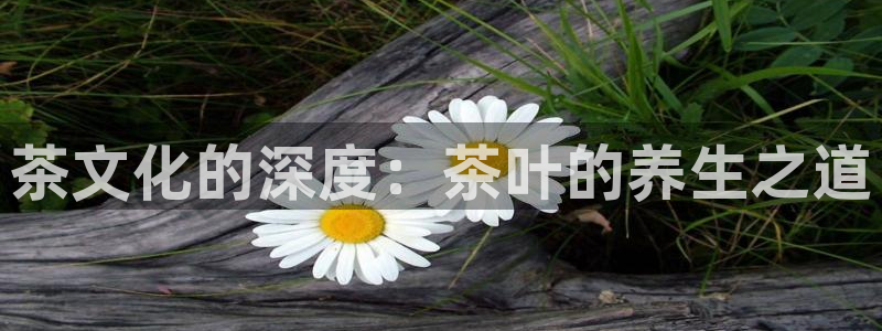 怎么进鸿运彩票平台