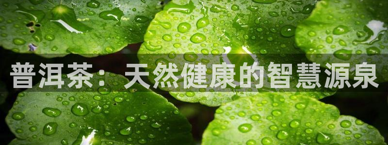 鸿运合拍是什么平台