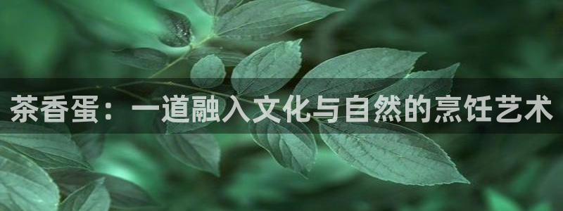 鸿运信投是平台