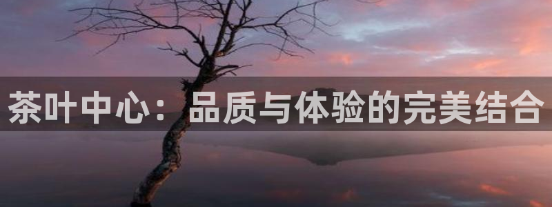 鸿运彩票平台官网