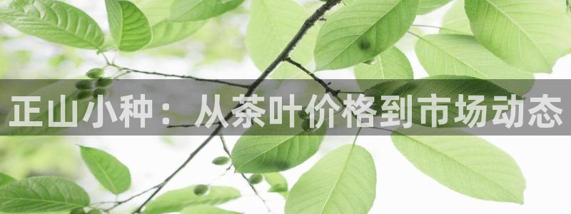 鸿运达交易平台