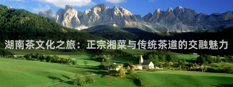 鸿运当头直播平台