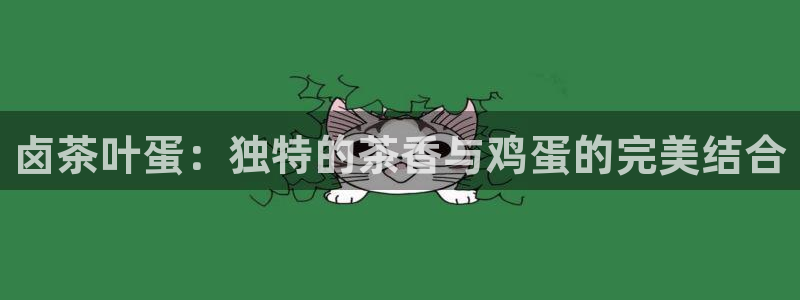 鸿运公司滴滴平台