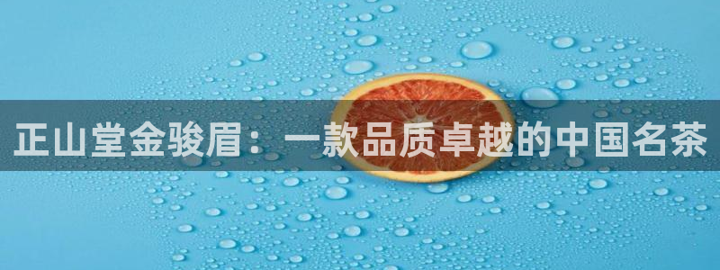 鸿运国际平台登录