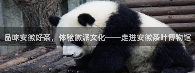 鸿运来手游平台