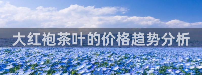 鸿运公司滴滴平台