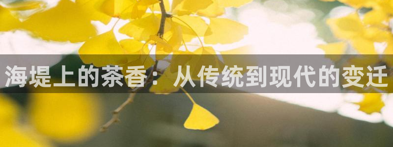 鸿运信投是平台