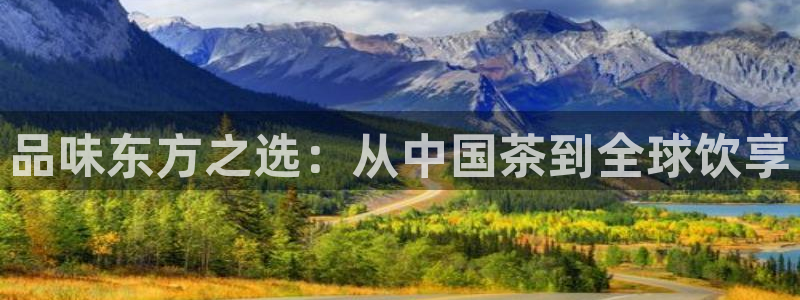 东方鸿运购物平台