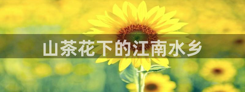 鸿运彩票网络平台官网