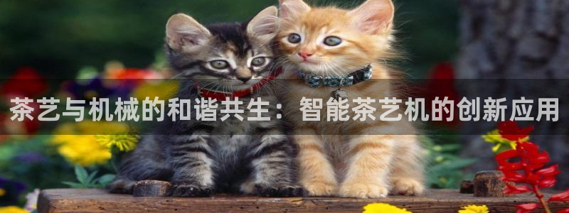 鸿运通什么平台