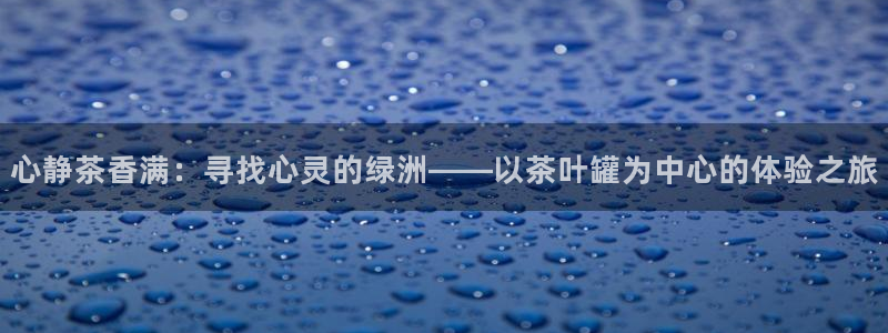 鸿运国际平台咋样