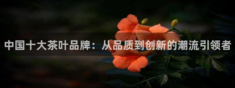 鸿运娱乐代理平台