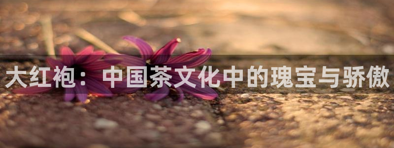 鸿运集团平台招聘信息