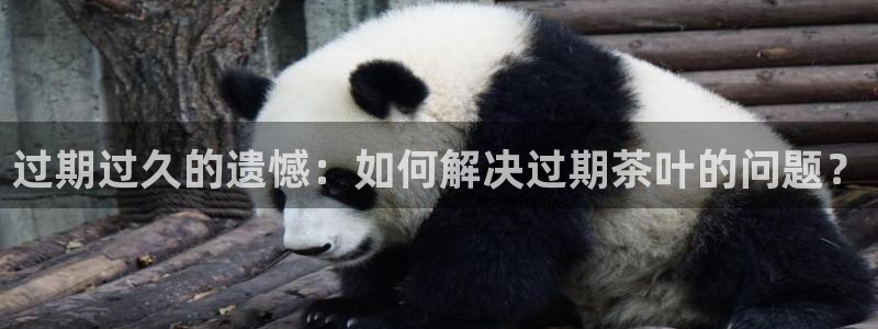 鸿运彩票 的平台