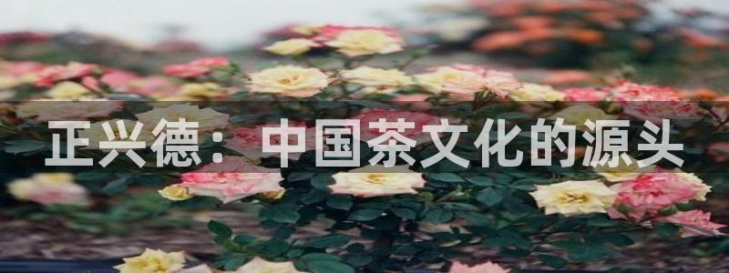 鸿运彩票平台官网