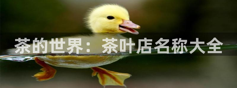 鸿运app直播平台