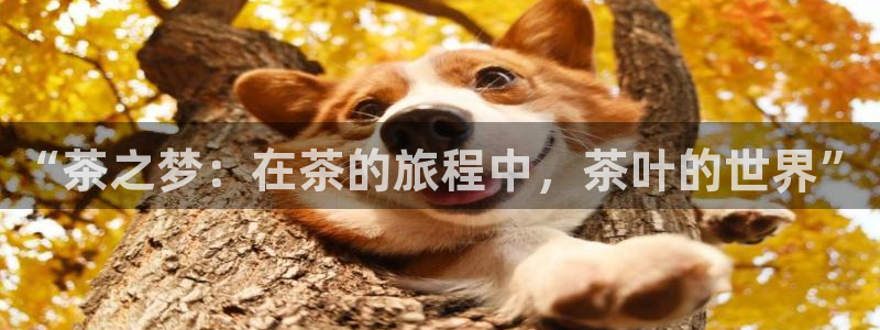 鸿运平台进入登录界面