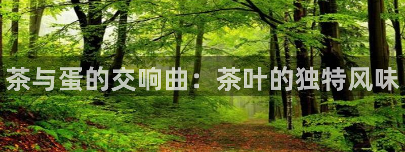 鸿运平台注册流程