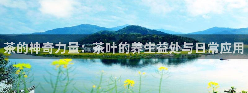 鸿运卡盟平台链接