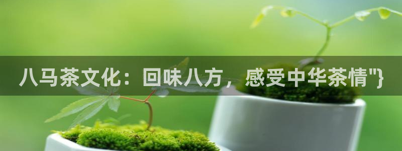 鸿运平台注册流程视频