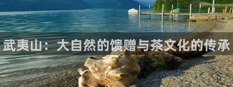 鸿运物流诚信经营平台