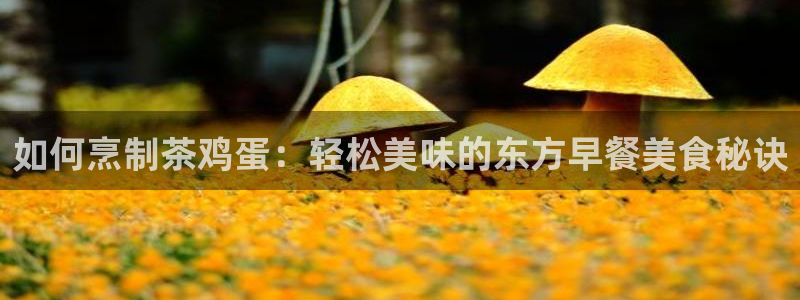 鸿运茶叶平台被骗