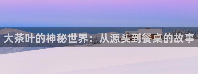 鸿运商滴管理平台