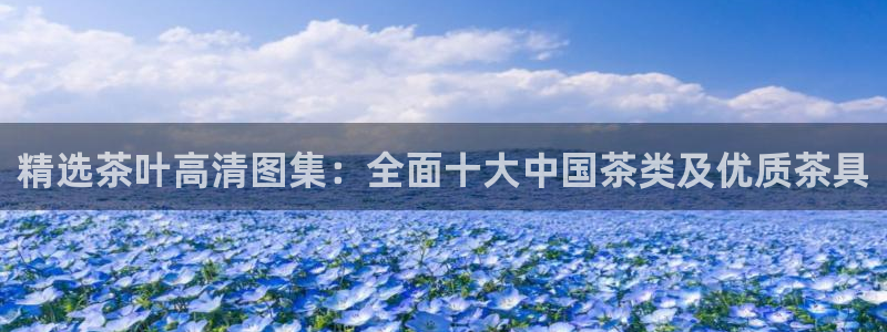 鸿运当头平台画