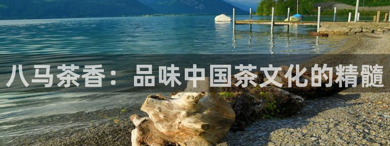 琥珀鸿运平台怎样赚钱的