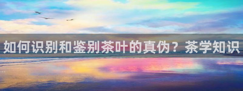 鸿运当头贷款平台