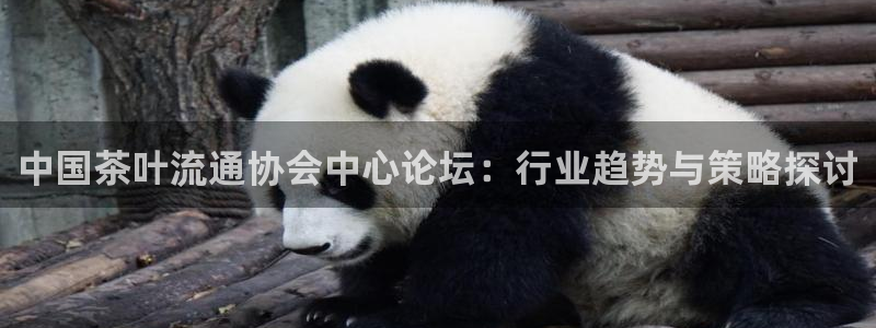 鸿运彩票网络平台