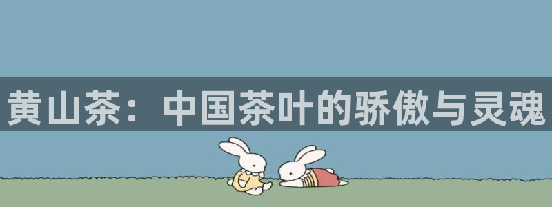 鸿运市场直播平台