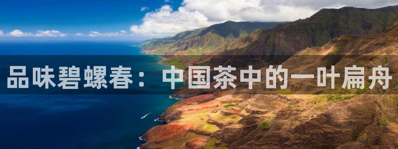 鸿运宝投资平台