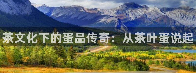 国际鸿运官方平台