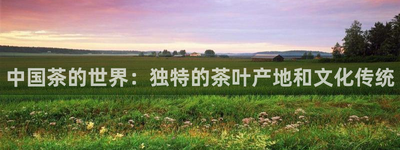 鸿运来投资平台