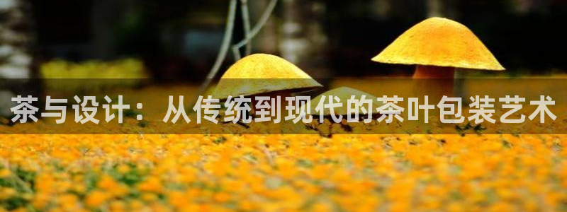 鸿运工厂直播平台