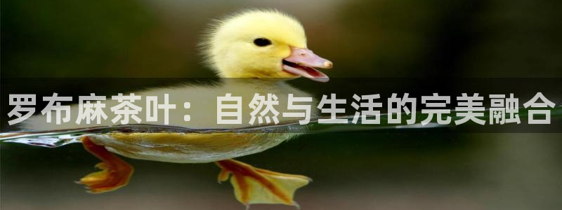 鸿运平台有哪些