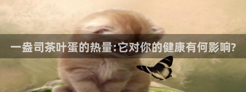 鸿运游戏直播平台