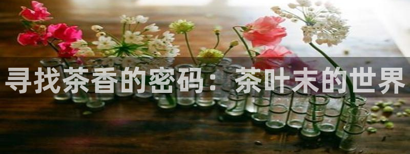 鸿运国际平台登录