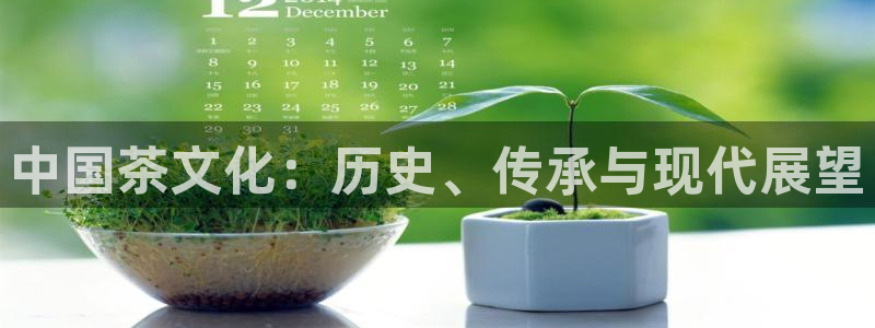 琥珀鸿运平台多久了