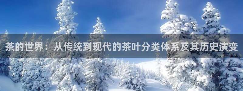 鸿运网彩票平台