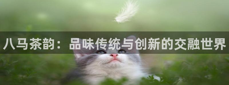 鸿运商城珠宝平台