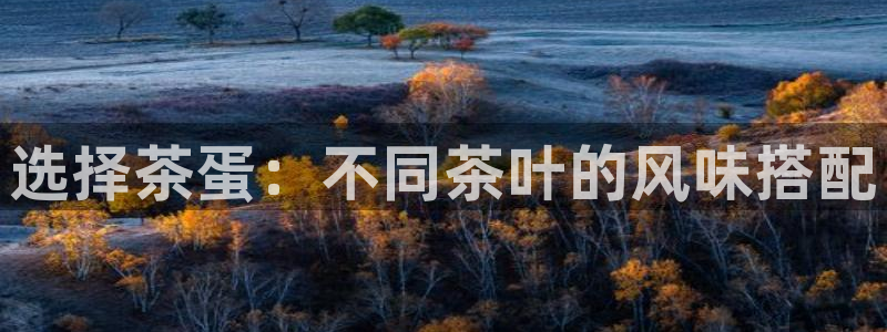 琥珀鸿运是个国际平台吗