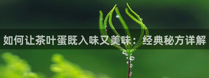 怎么进鸿运彩票平台