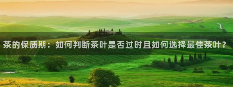 鸿运专业购彩平台