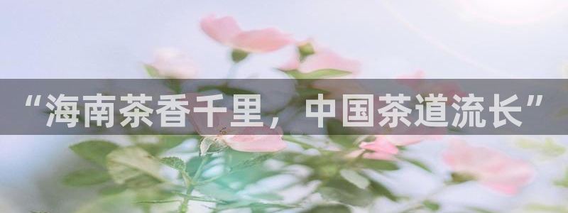 大发平台鸿运彩票