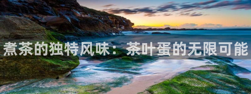 鸿运平台代理台