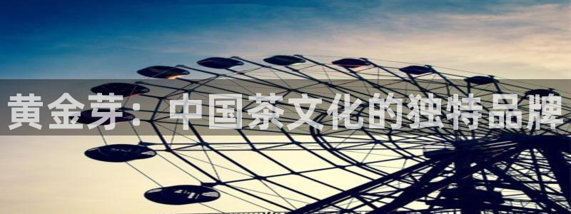 鸿运平台刷流水