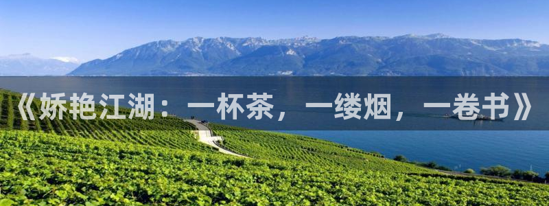 鸿运平台代理鸿运