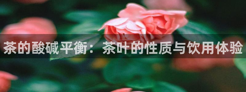 鸿运平台靠谱吗